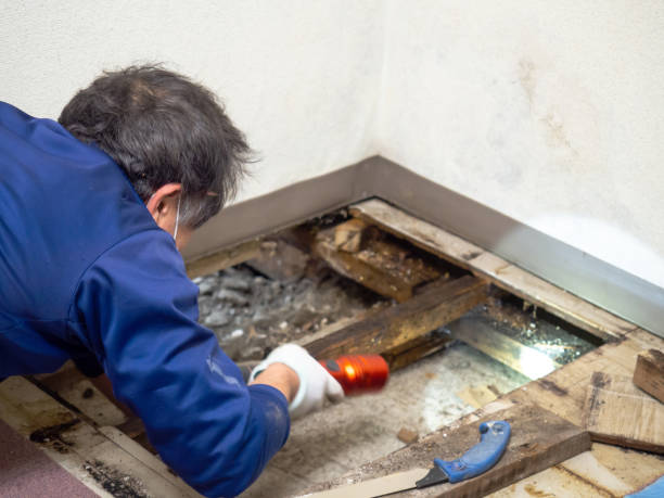 Best Crawl Space Mold Removal  in Raymond, WI