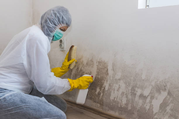 Best Mold Testing  in Raymond, WI