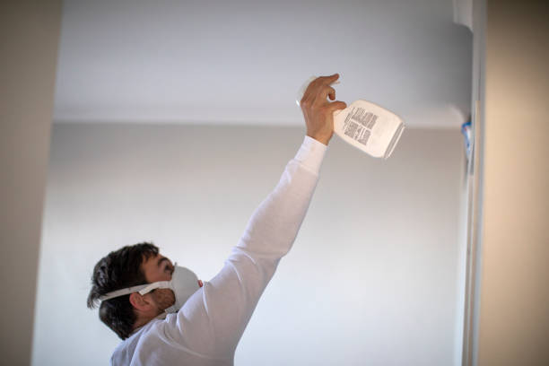 Best Professional Mold Removal  in Raymond, WI