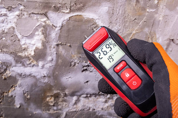 Professional Mold Removal in Raymond, WI