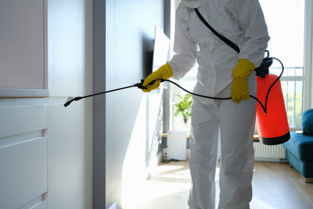 Best Home Mold Removal  in Raymond, WI