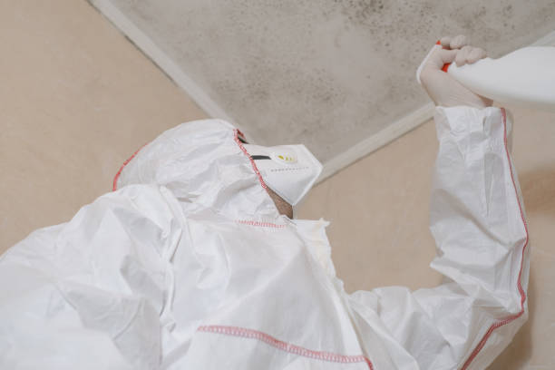 Mold Removal Process in Raymond, WI